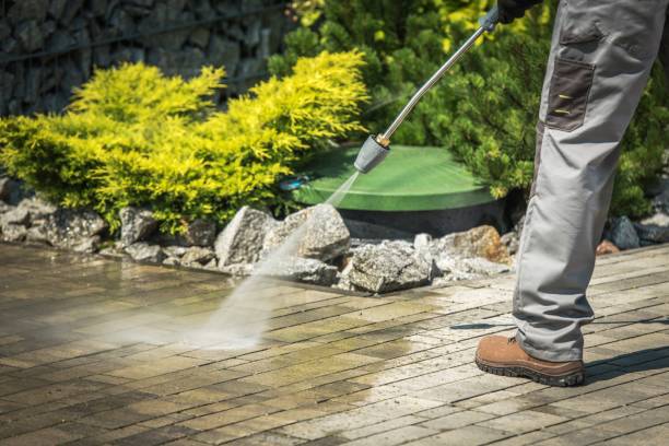 Best Spring Cleaning  in Union City, MI