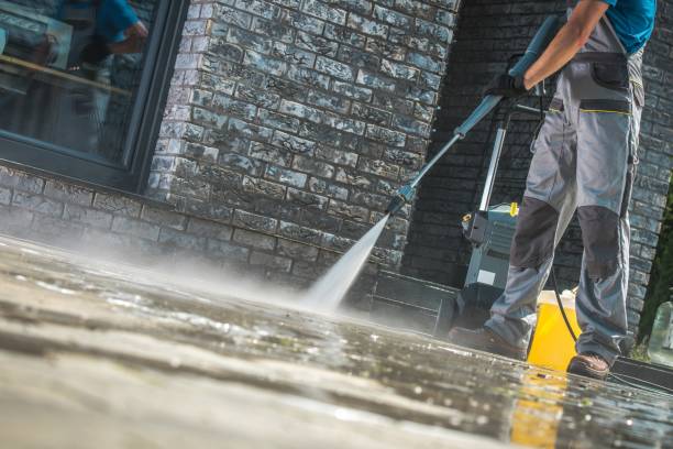Best Dumpster Area Cleaning  in Union City, MI
