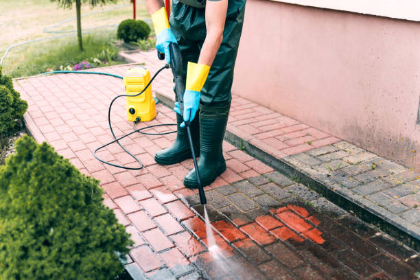 Best Solar Panel Cleaning  in Union City, MI